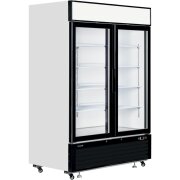 Display-Gefrierschrank mit 2 Glastüren