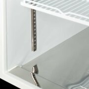Getränkekühlschrank auf Rollen, 2-türig